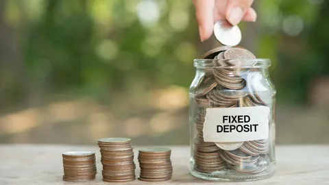 Fixed Deposits